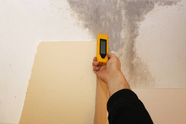 Best Dehumidification Services  in Tuscarawas, OH