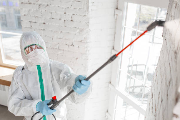 Best Black Mold Removal  in Tuscarawas, OH