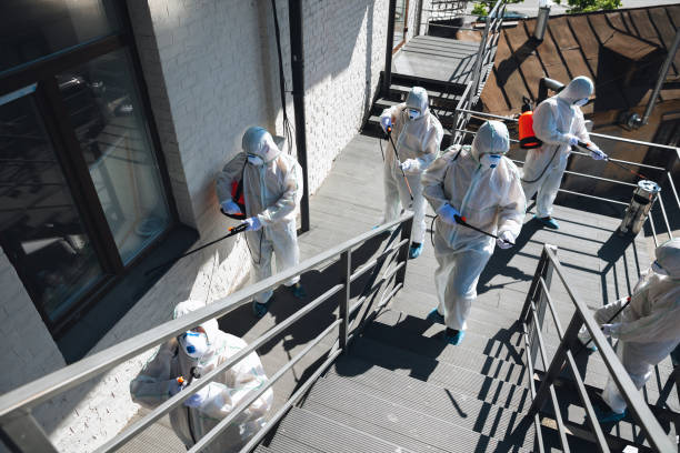 Best Mold Prevention Services  in Tuscarawas, OH